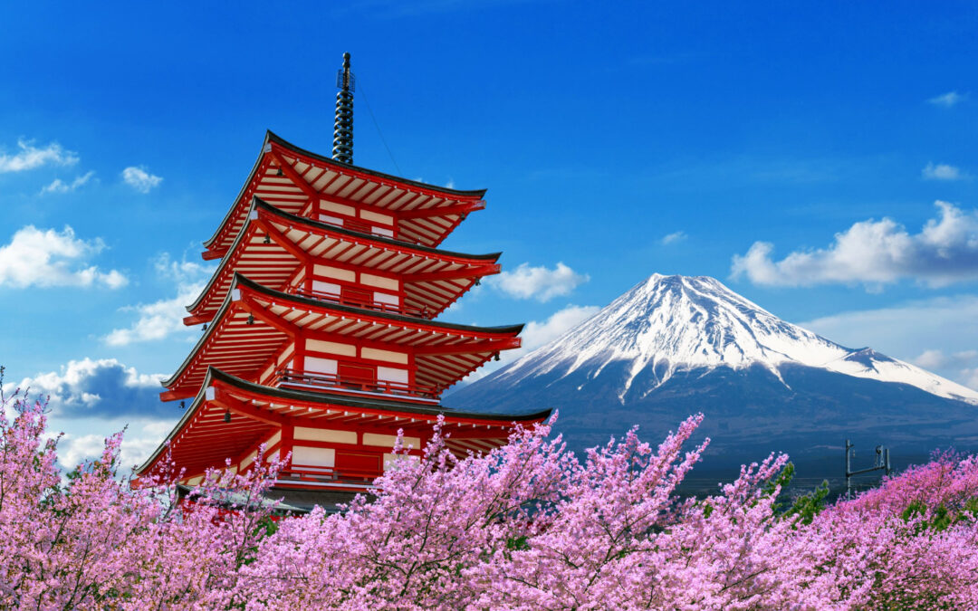 La leyenda de Sakura: Cerezos en flor en Japón
